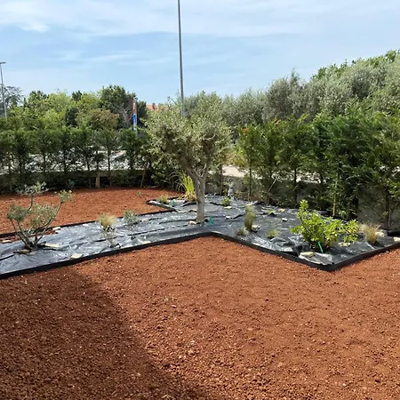 Olea Residences, Luxury In Basanija, Umag Apartment *